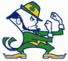 Dublin Fighting Irish logo